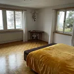 Monkey * Brienz (Bern)