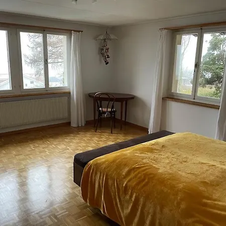 Monkey * Brienz (Bern)