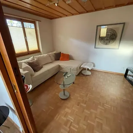 Monkey Apartament Brienz (Bern)